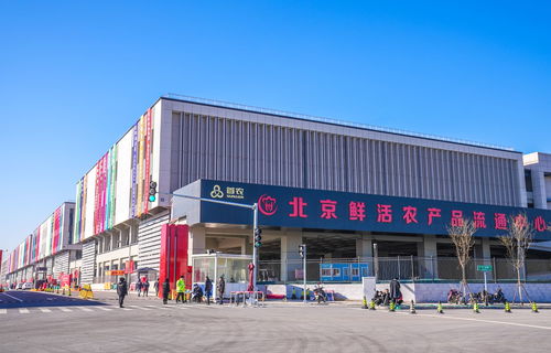 山東蘭陵蔬菜將規(guī)模化進京