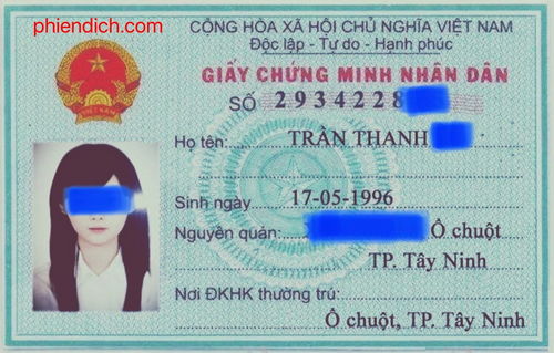 越南護(hù)照翻譯,越南身份證翻譯,翻譯越南護(hù)照,翻譯越南身份證