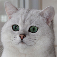 【古文翻譯翻譯中文公司|古文翻譯翻譯中文