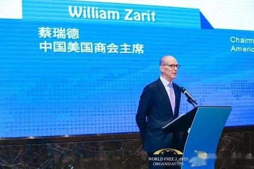 消滅 神翻譯 史家教育集團服務(wù)學(xué)習(xí)項目系列報道