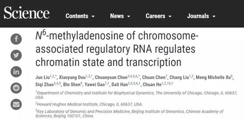 《科學》發表同濟大學高亞威教授團隊聯合研究成果